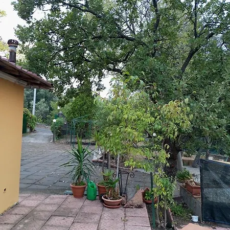 Etna Chalet Zafferana Etnea *