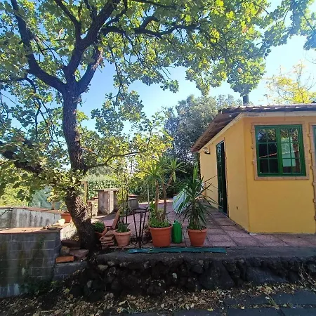 Etna Chalet Zafferana Etnea Zafferana Etnea